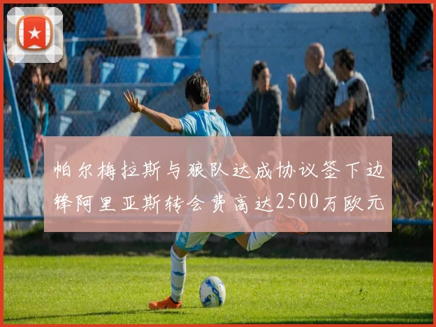 帕尔梅拉斯与狼队达成协议签下边锋阿里亚斯转会费高达2500万欧元